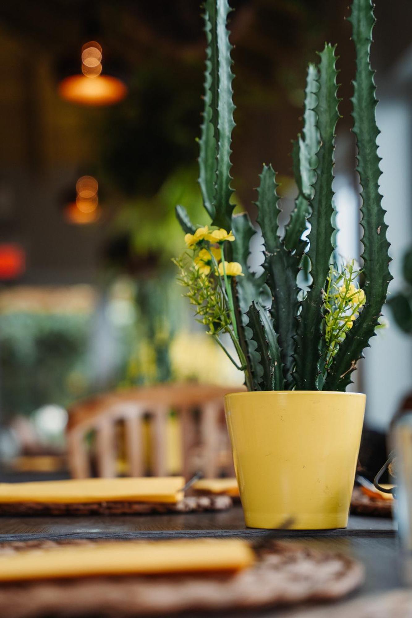 Hotel Rh Boutique Aruba Oranjestad Kültér fotó